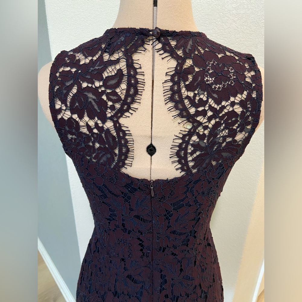 Banana Republic Plum Lace Dress